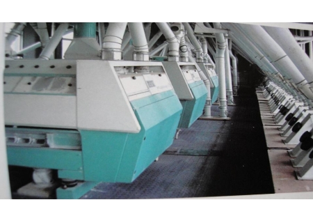 120吨荞麦磨面机成套设备